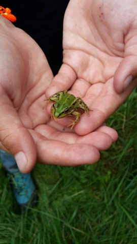 FB_IMG_1444376446527